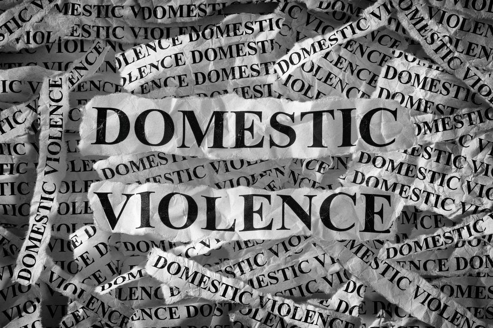 domestic violence state of florida